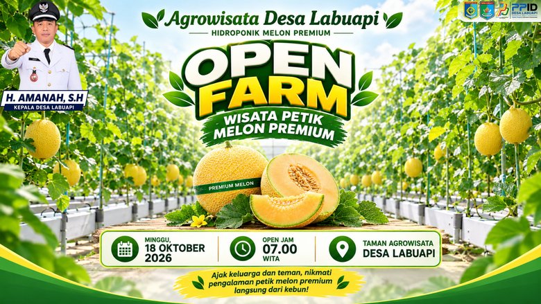PENGUMUMAN OPEN FARM AGROWISATA DESA LABUAPI