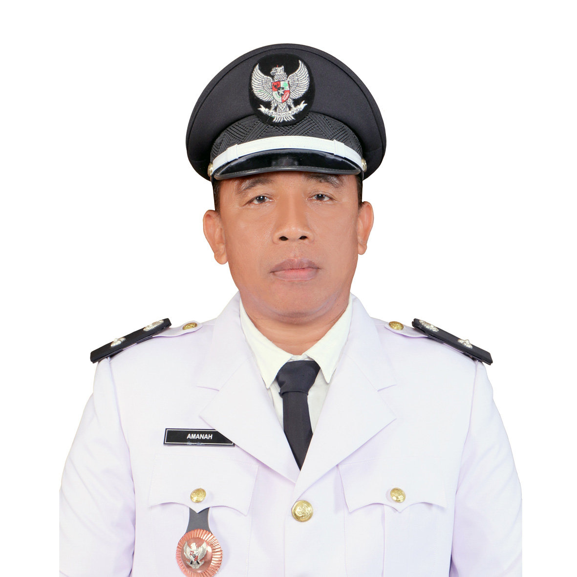 Kepala Desa